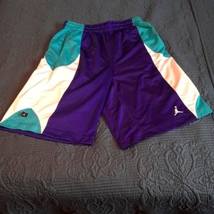 A pair of men size medium (Hornets colorway) Jordan gym shorts